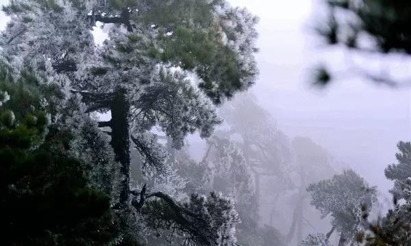 山阴火了