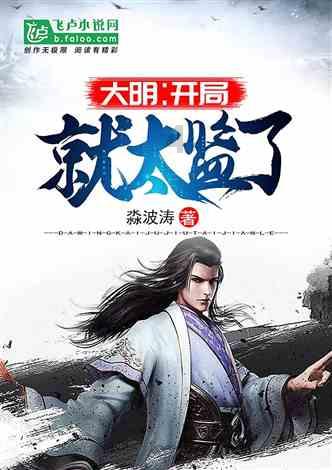 美妙圣诞节拼图